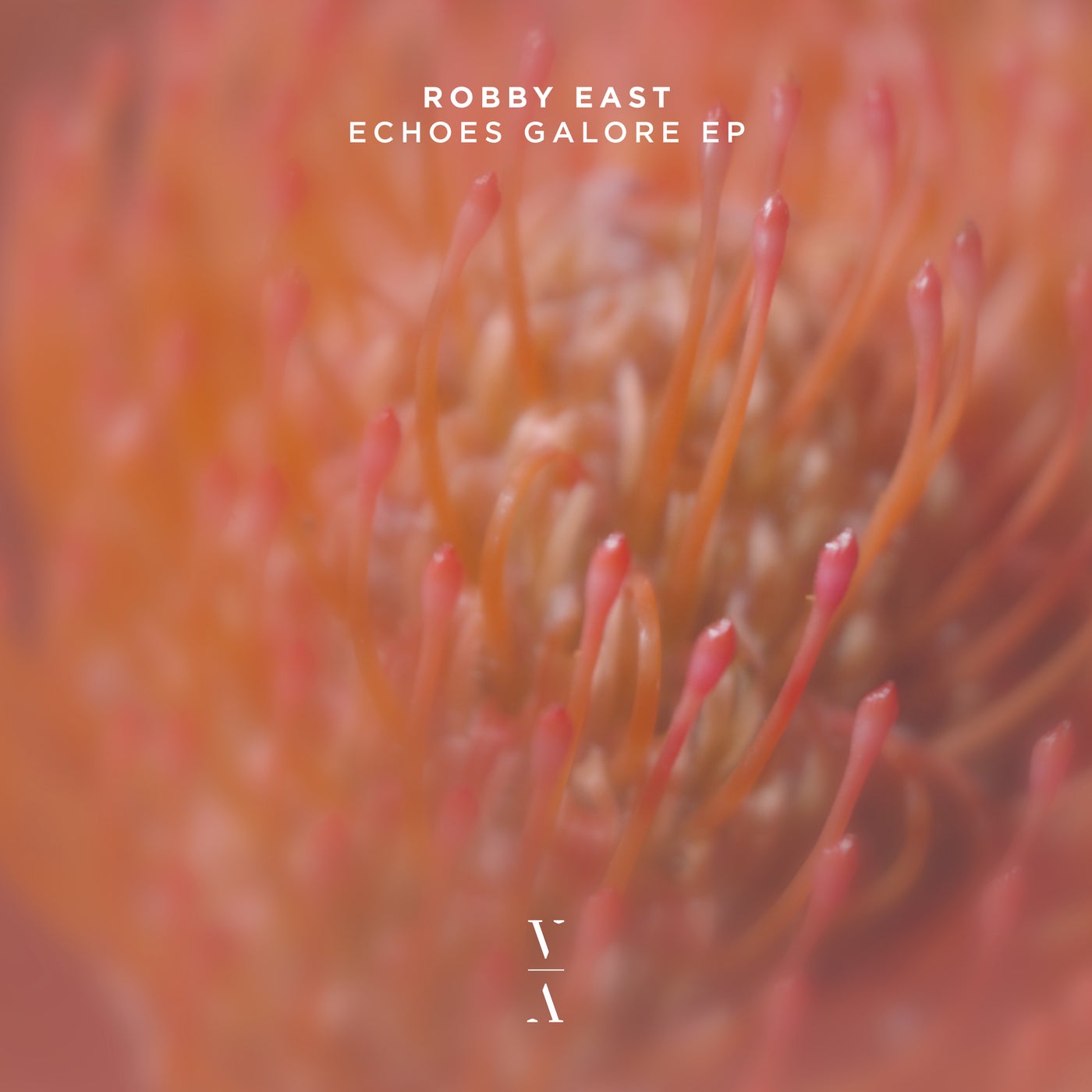 Cover art for Echoes Galore EP