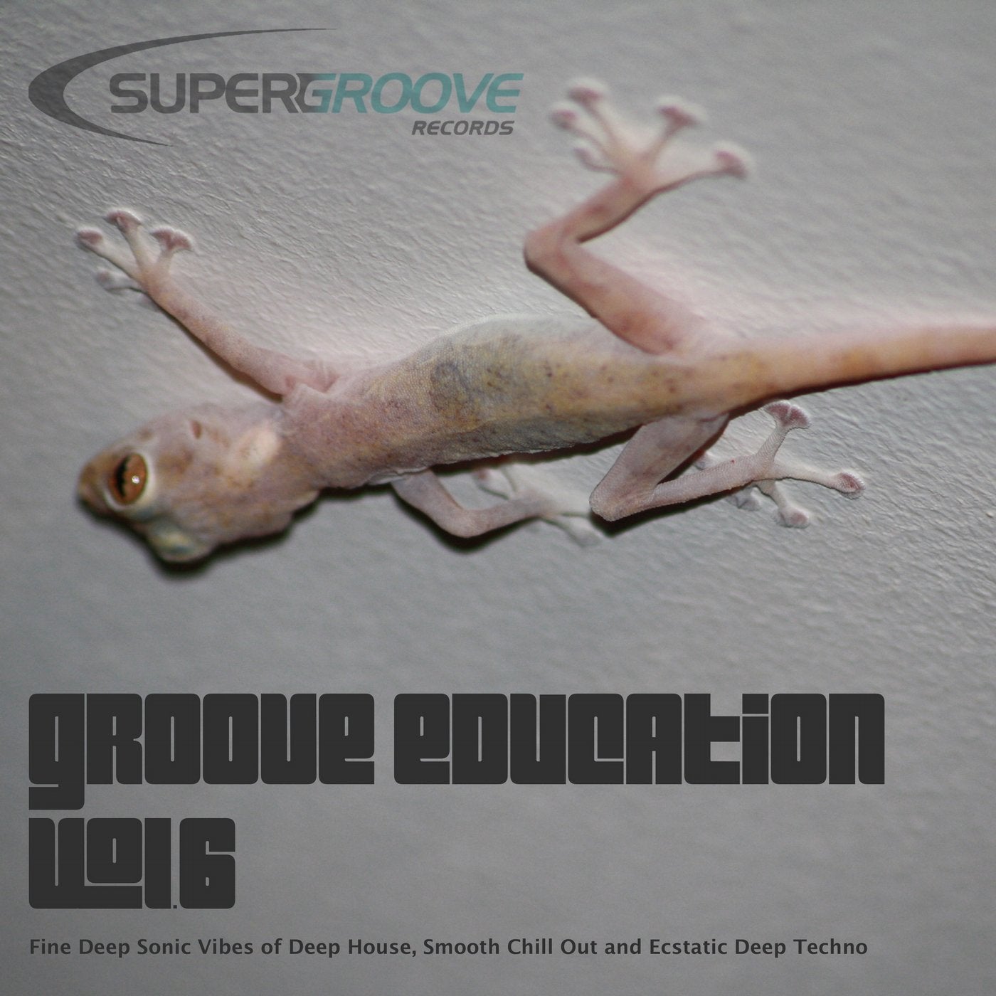 Groove Education, Vol. 6 - Fine Deep Sonic Vibes of Deep House, Smooth Chill Out and Ecstatic Deep Techno