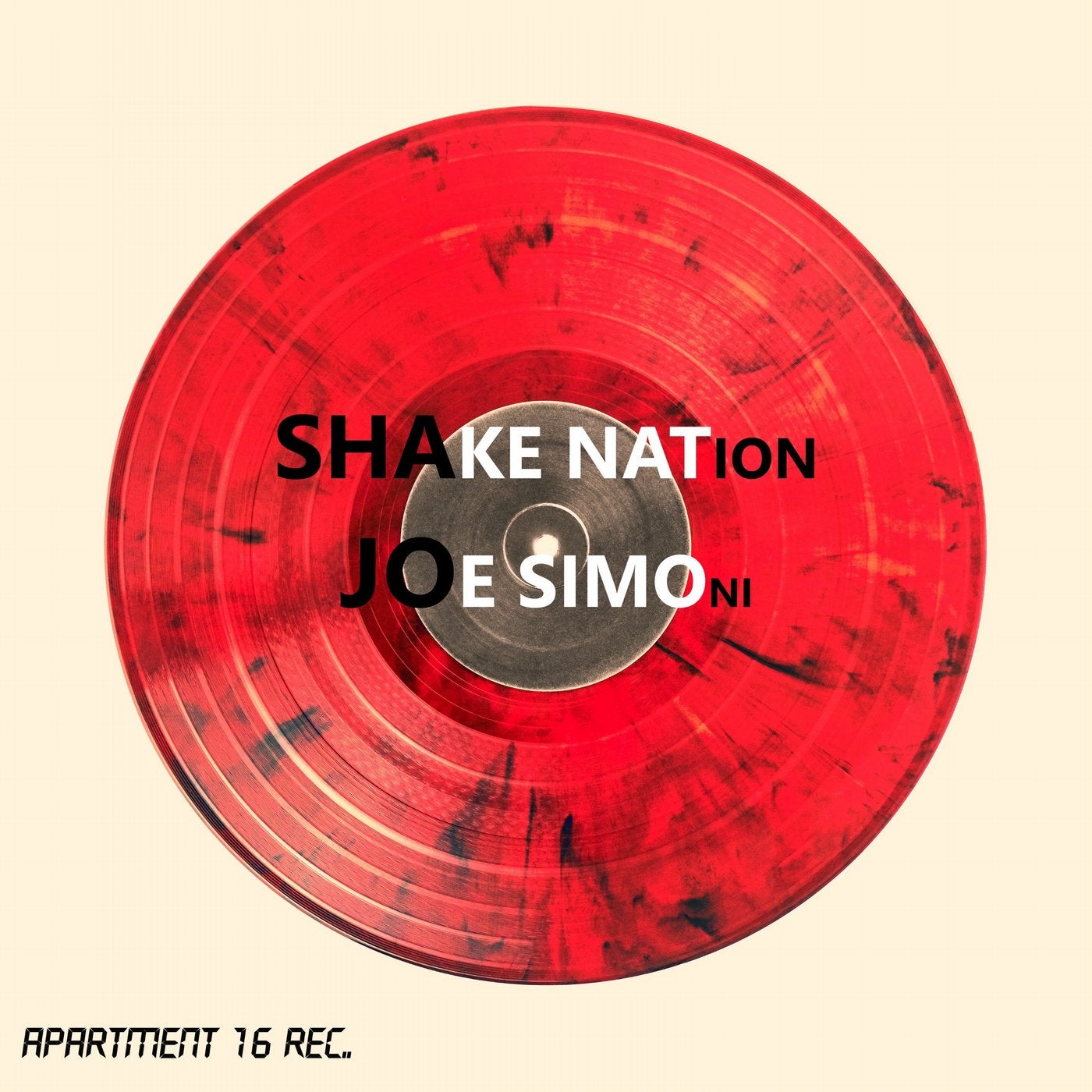 Shake Nation (Original Mix)