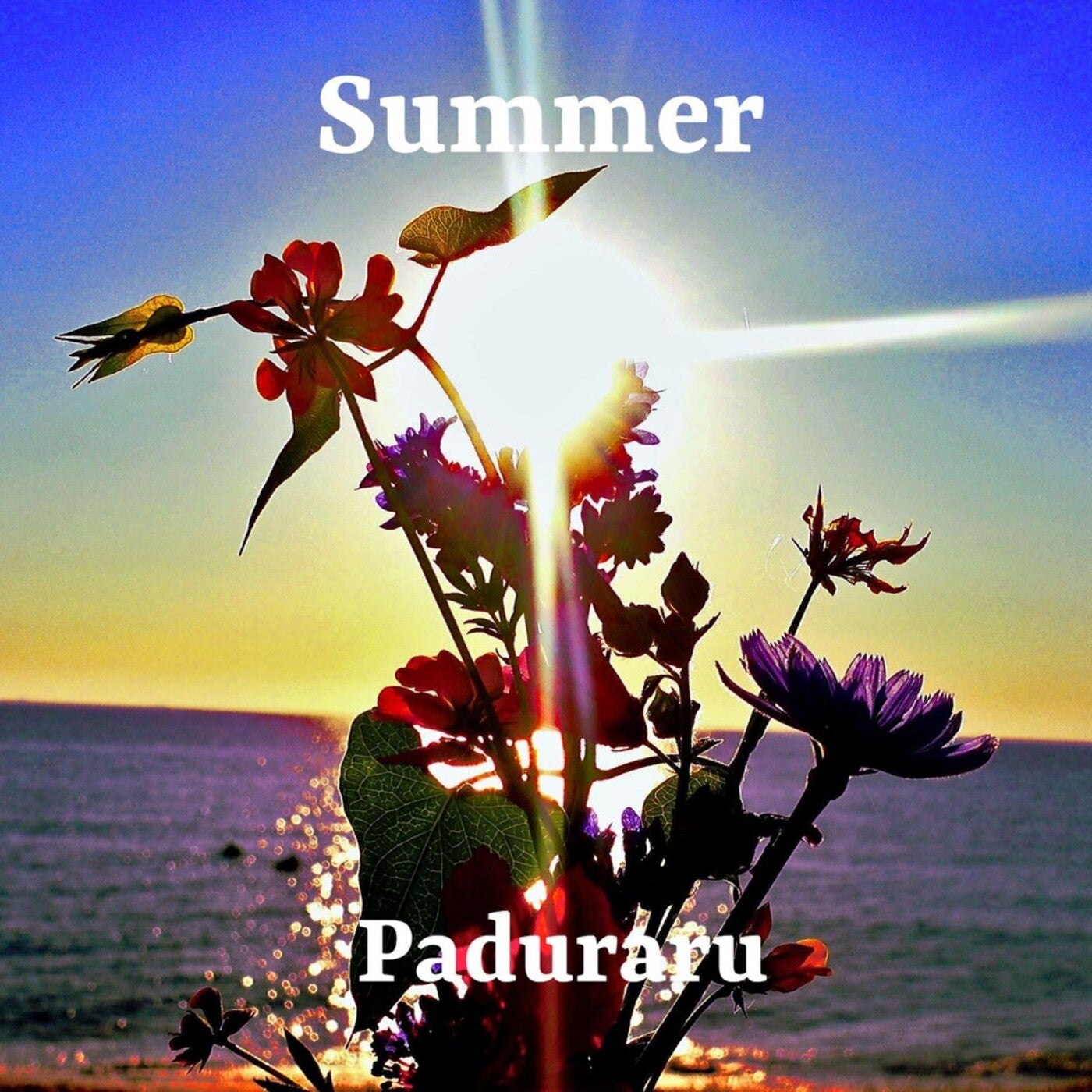 Cover art for Summer of 2025 (Beach Festival Aerobic Dance Floor Music for Workout Mix)