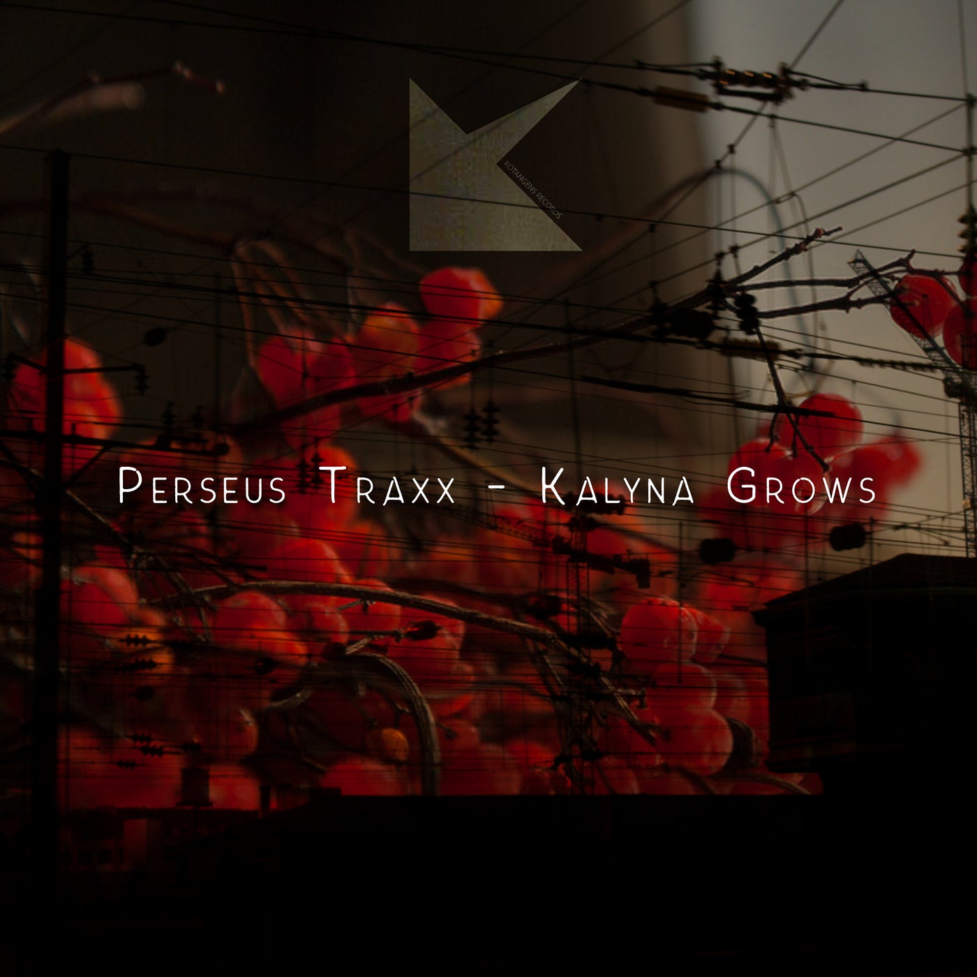 Kalyna Grows