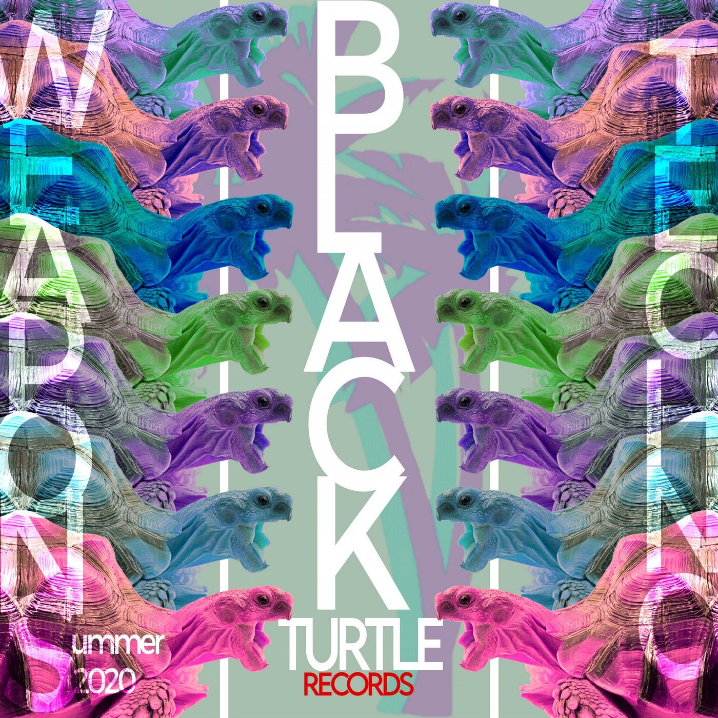 Black Turtle Weapons Techno Summer 2020