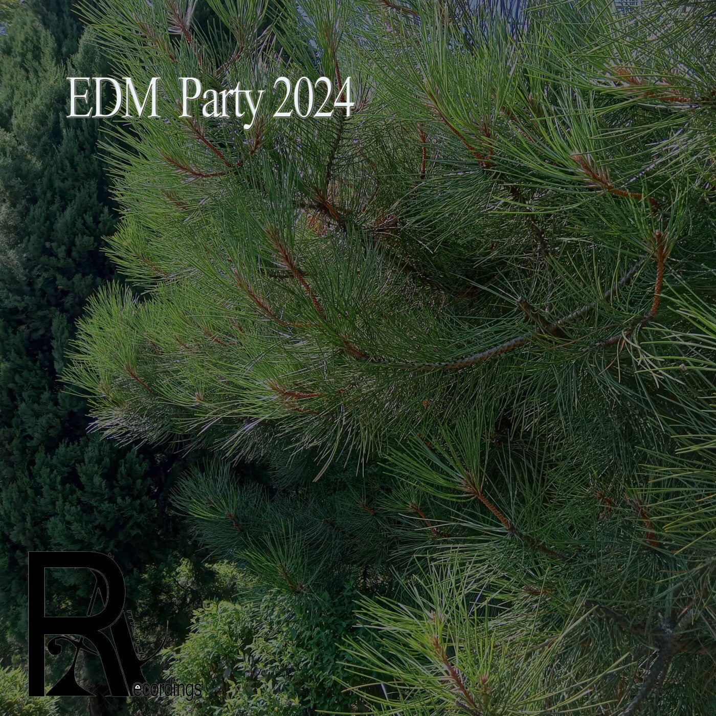 EDM  Party 2024