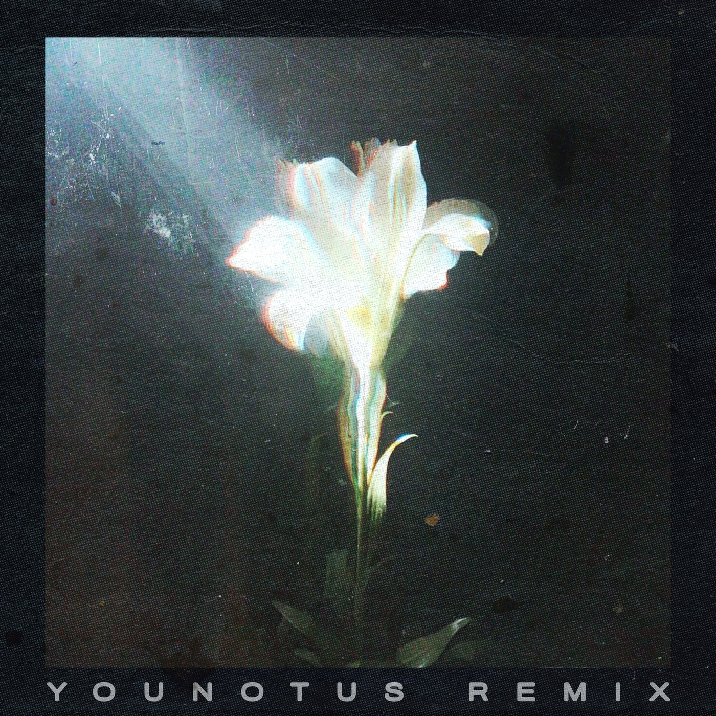 Light That Leads Me (feat. Bebe Rexha) (YouNotUs Extended Remix)