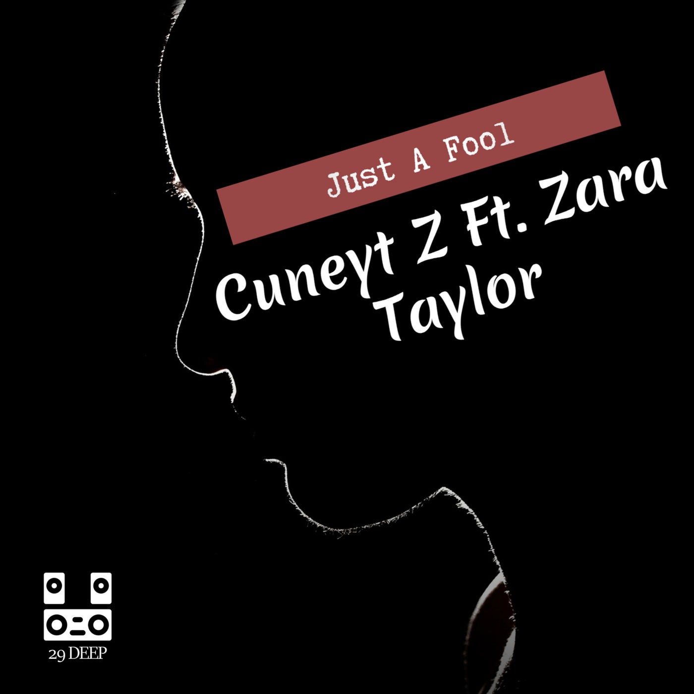 Just A Fool (feat. Zara Taylor)