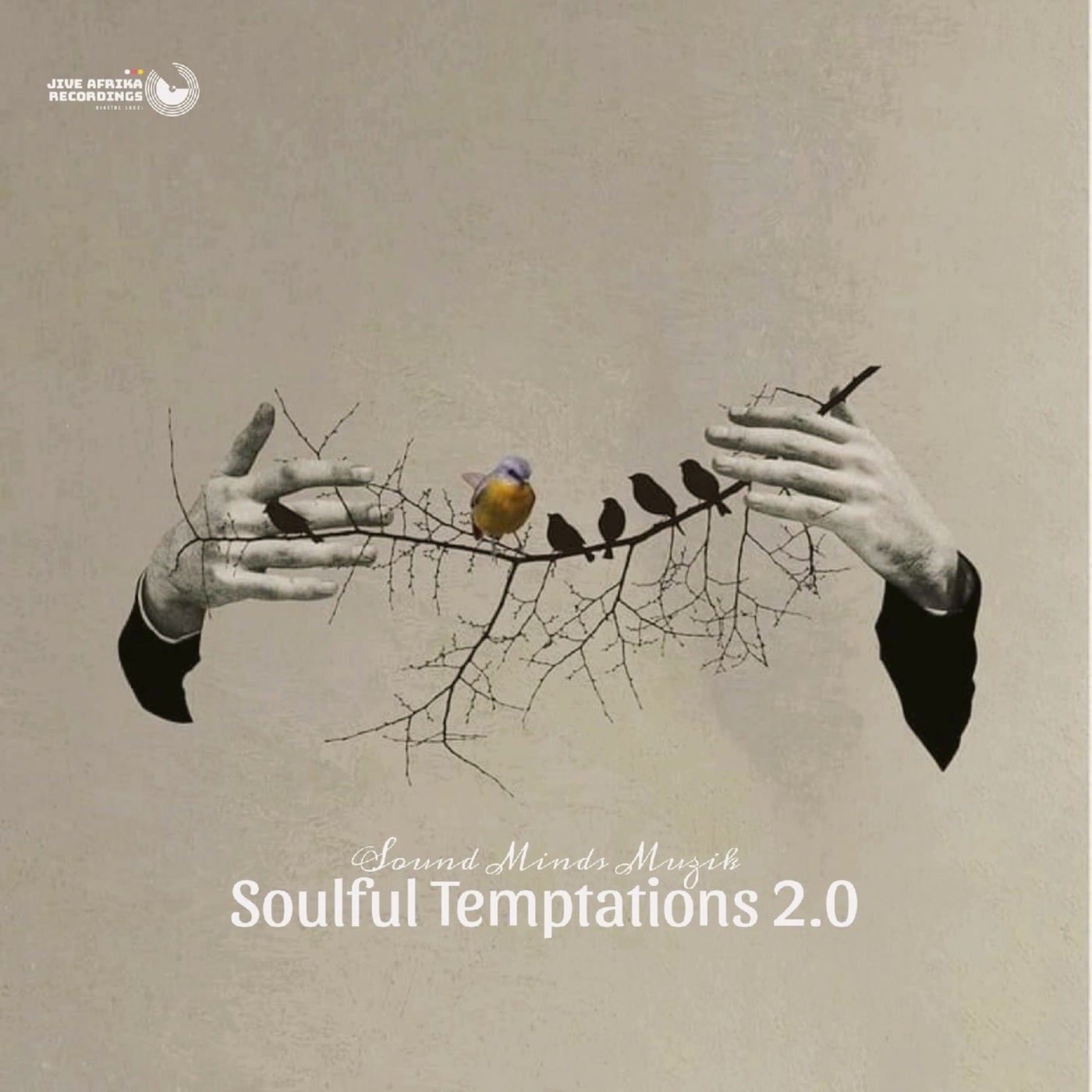 Soulful Temptations 2.0