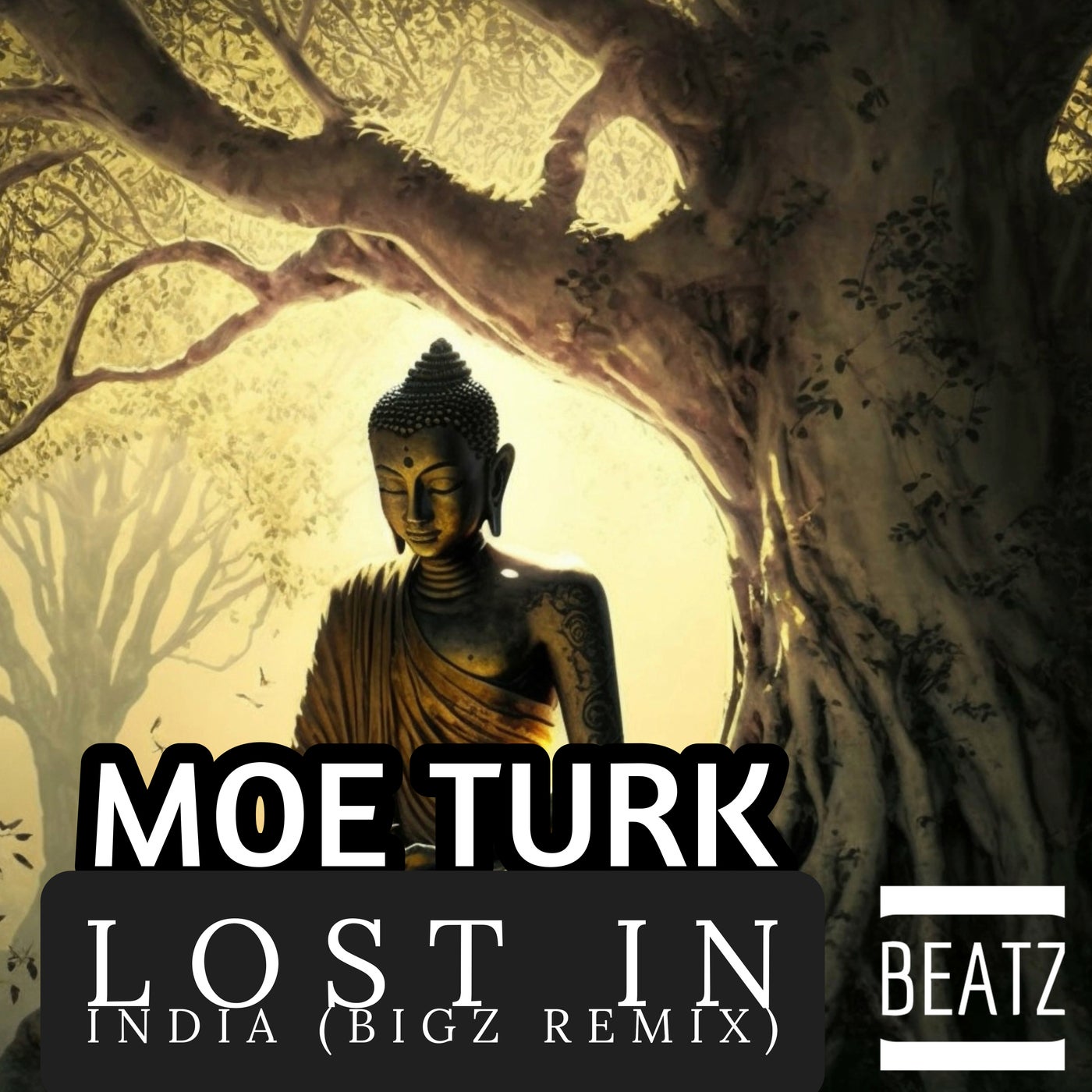 Lost In India (BiGz Remix)