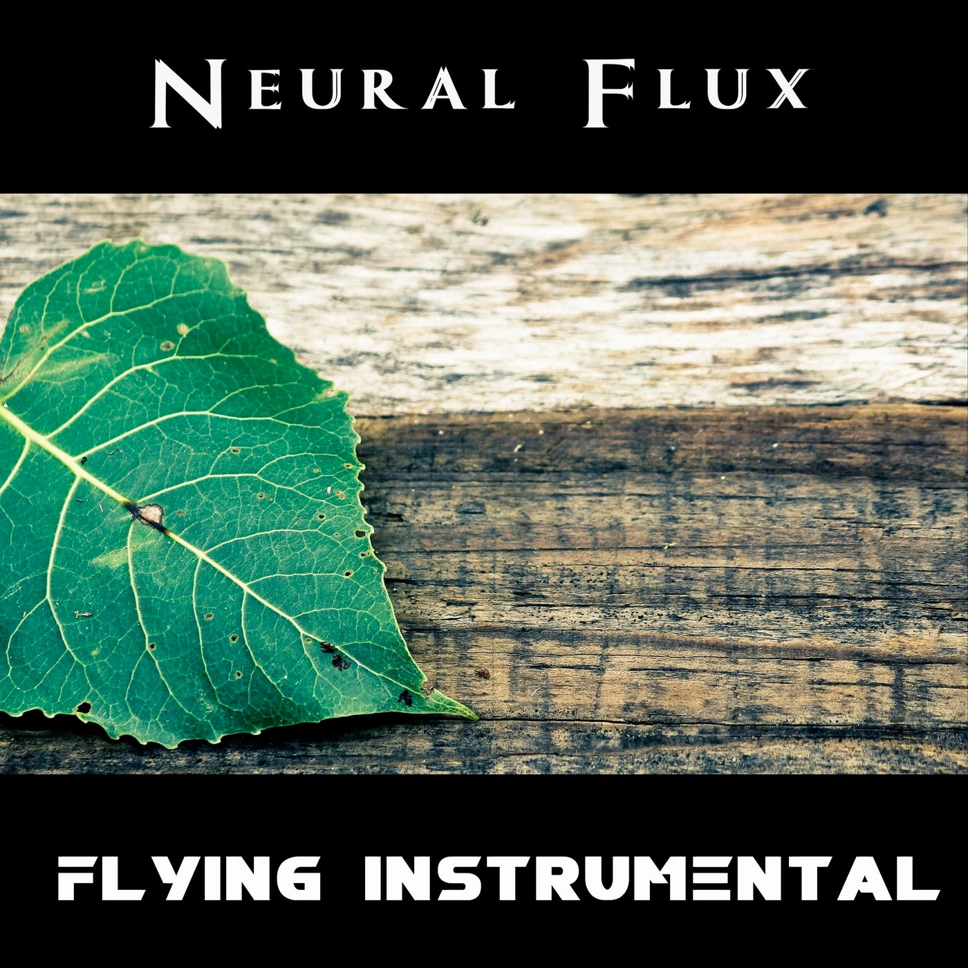 Flying (Instrumental)