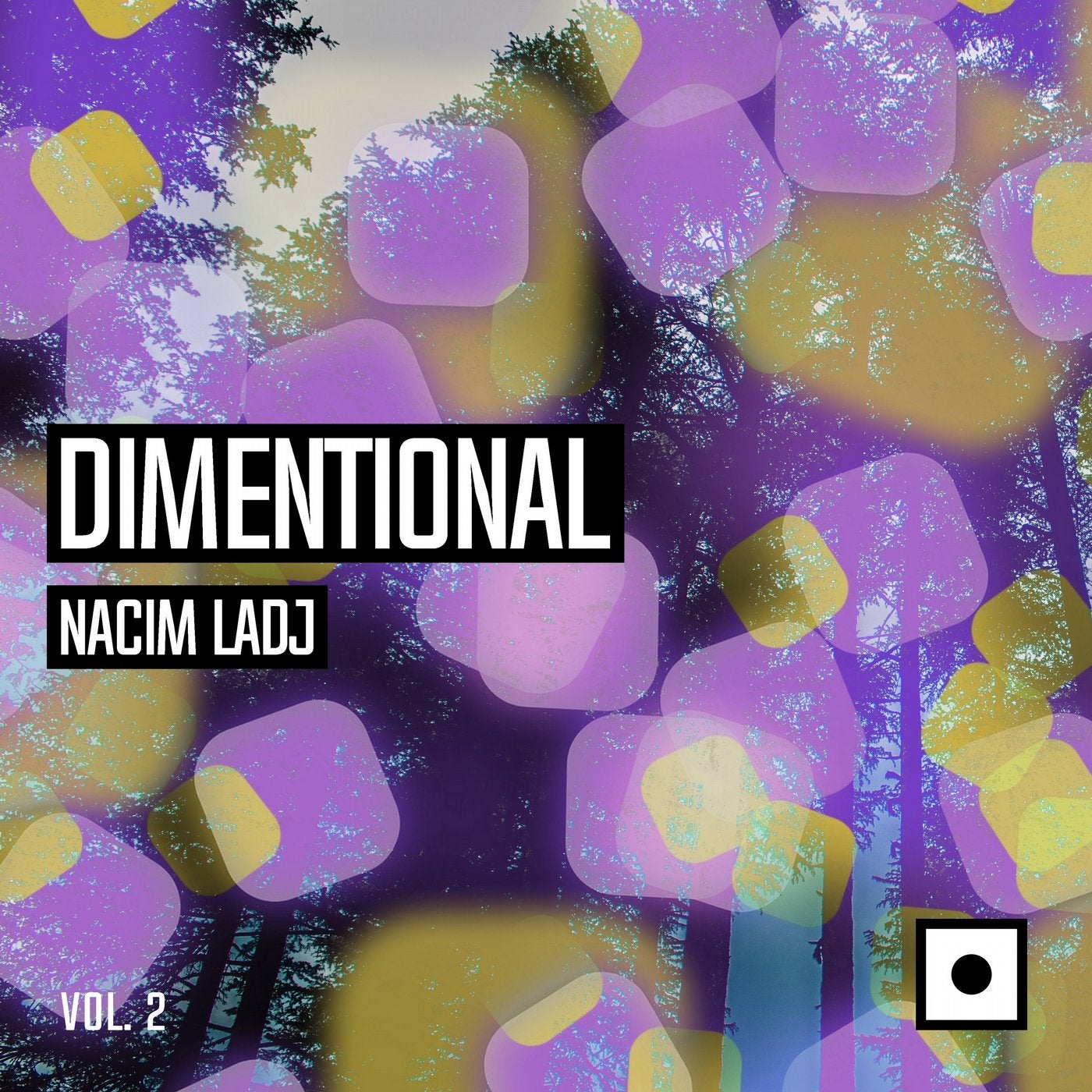 Dimentional, Vol. 2