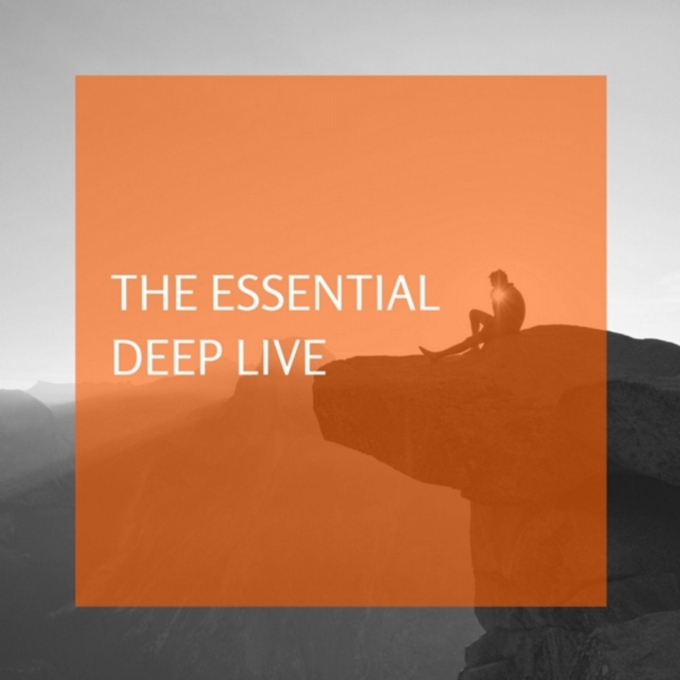 The Essential Deep Live