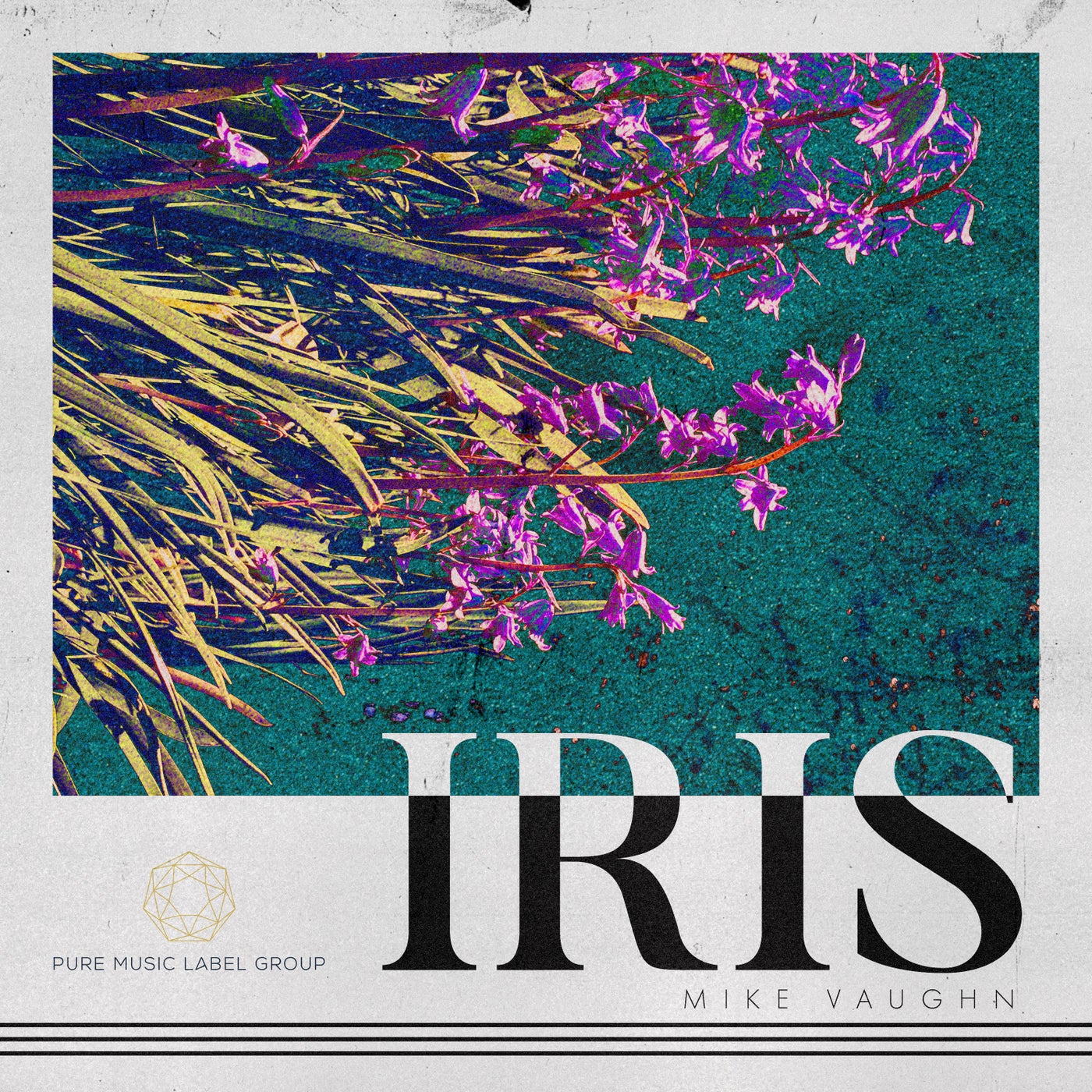 Iris