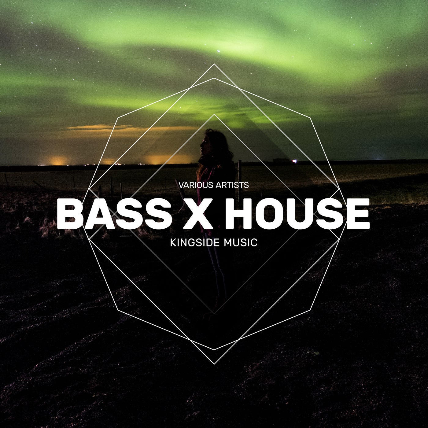 Bass x House