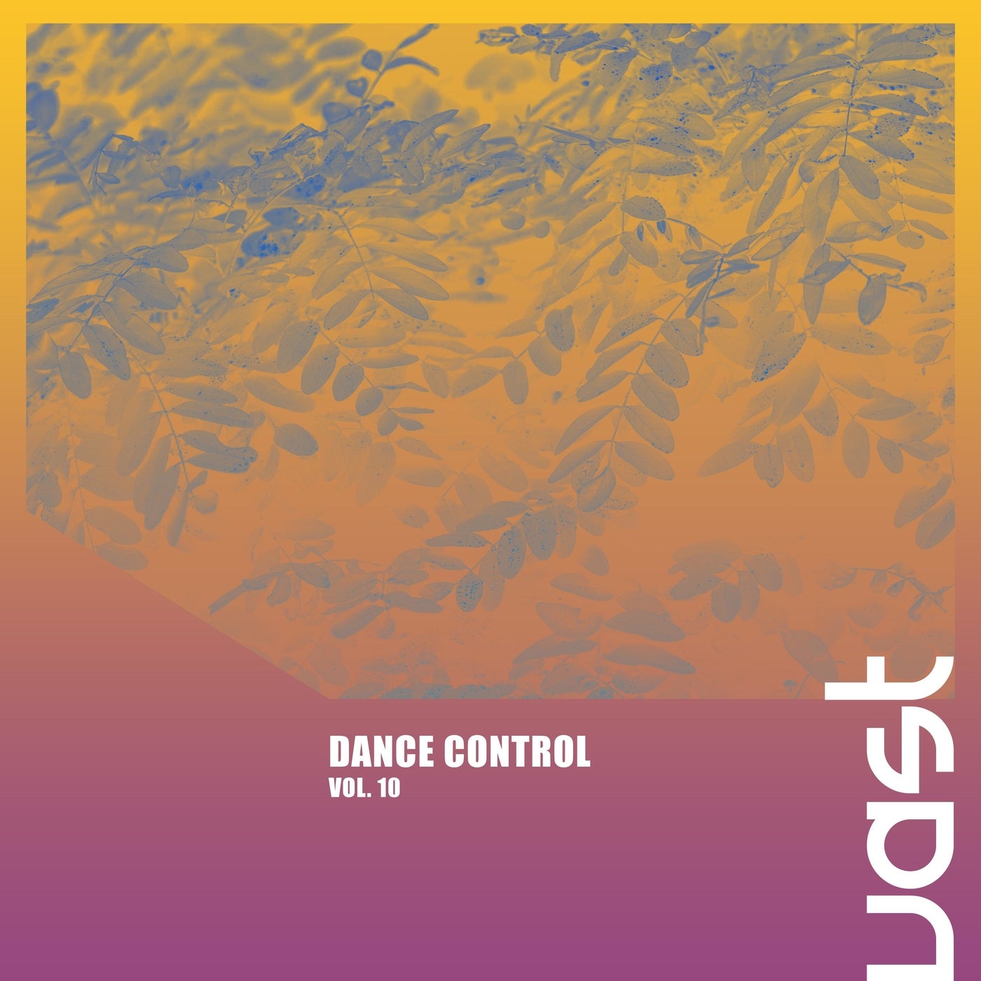 Cover art for Dance Control, Vol. 10