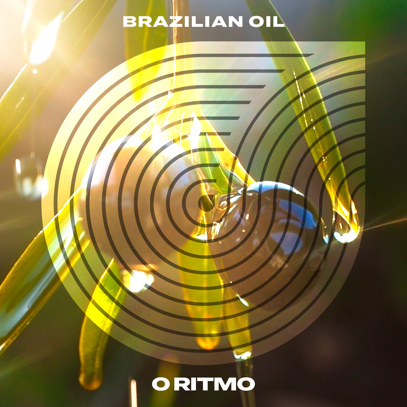 Brazilian Oil