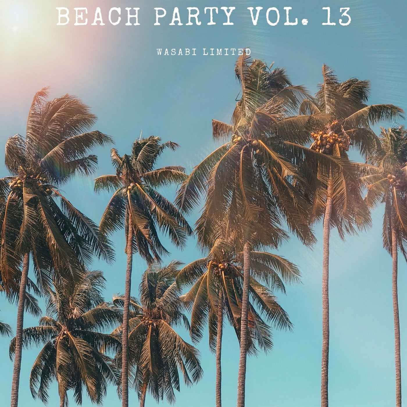 Beach Party Vol. 13