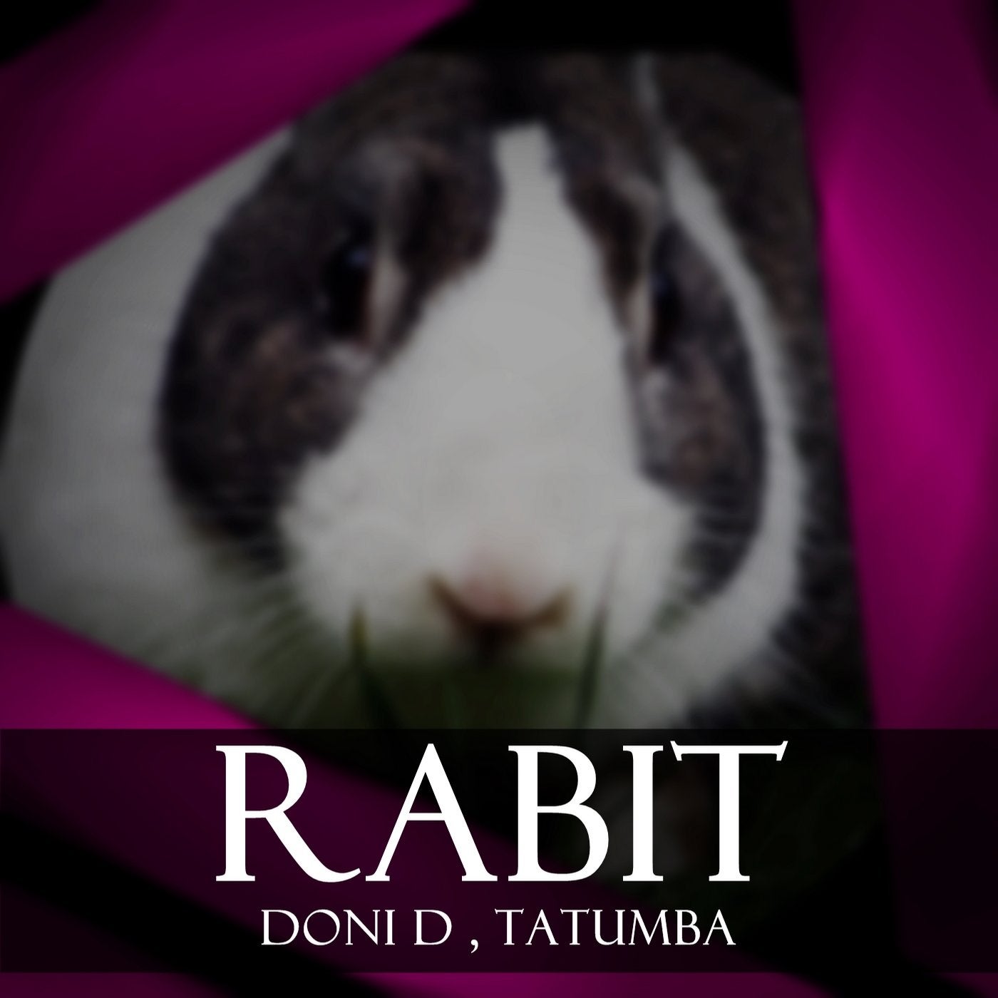 Rabit