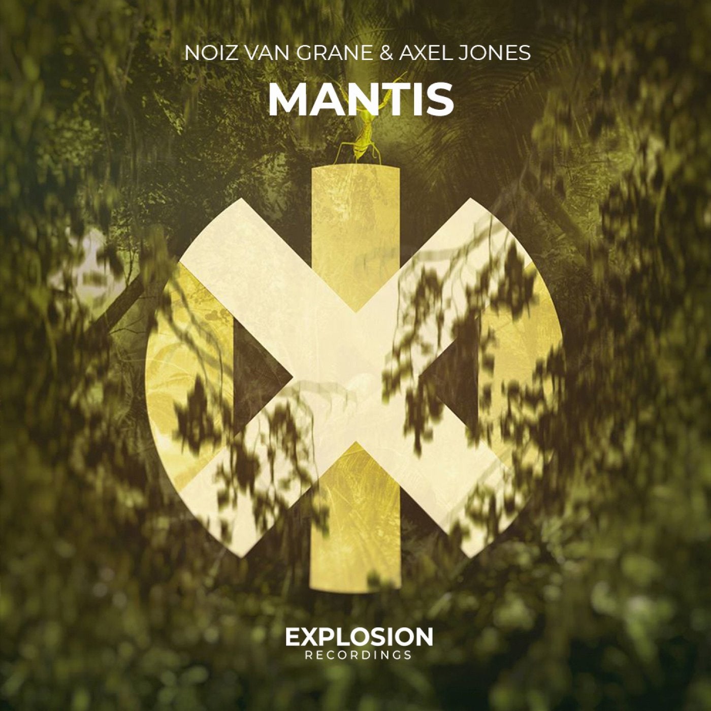 Mantis