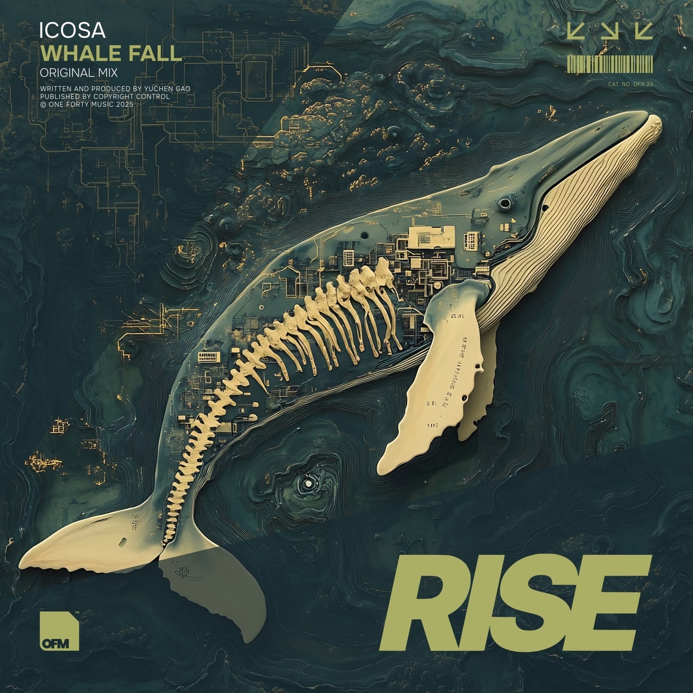 Whale Fall