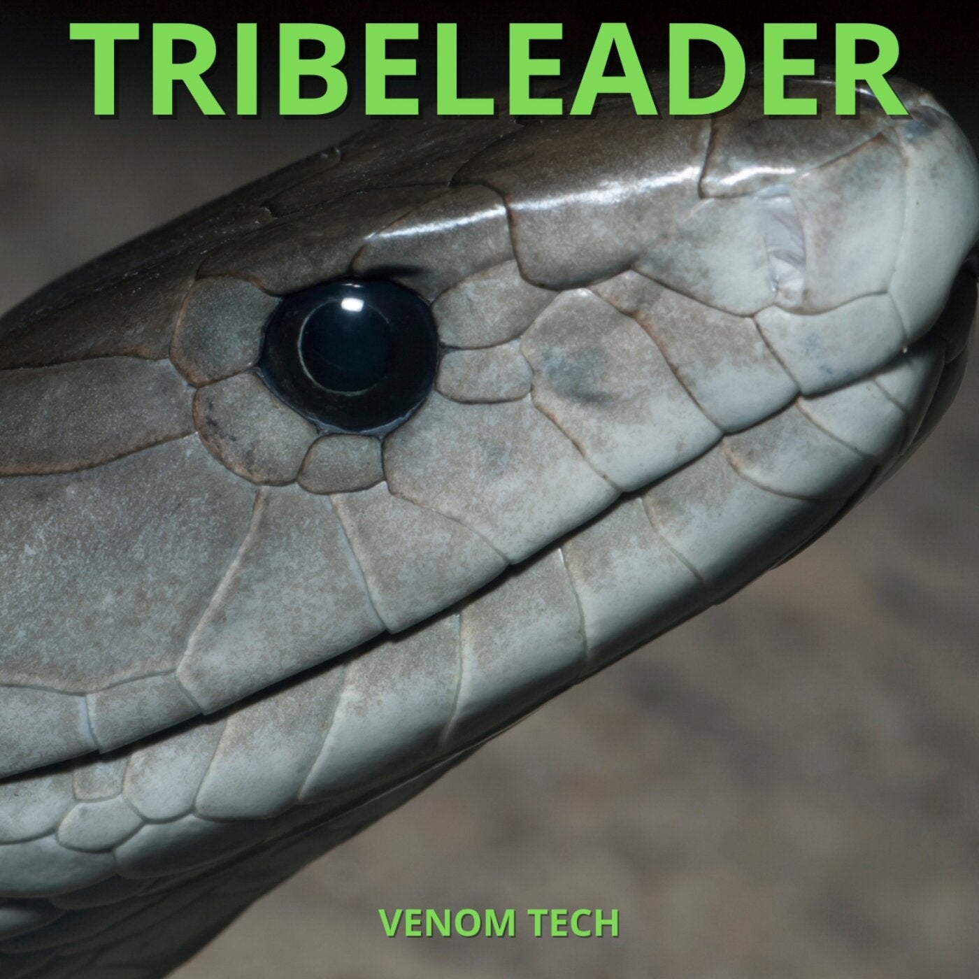 Cover art for VENOM TECH [INSTRUMENTALS]