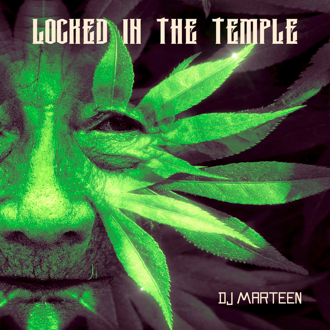 Locked in the Temple