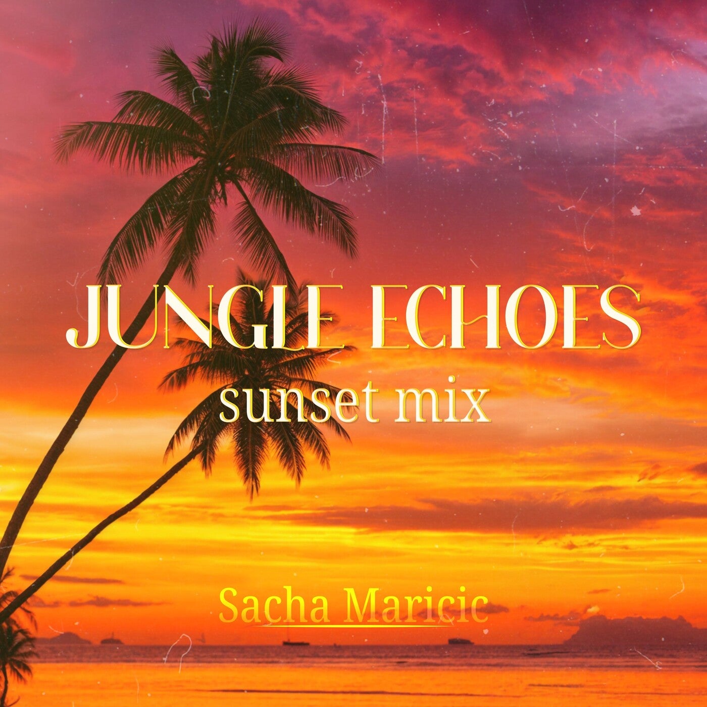 Jungle Echoes