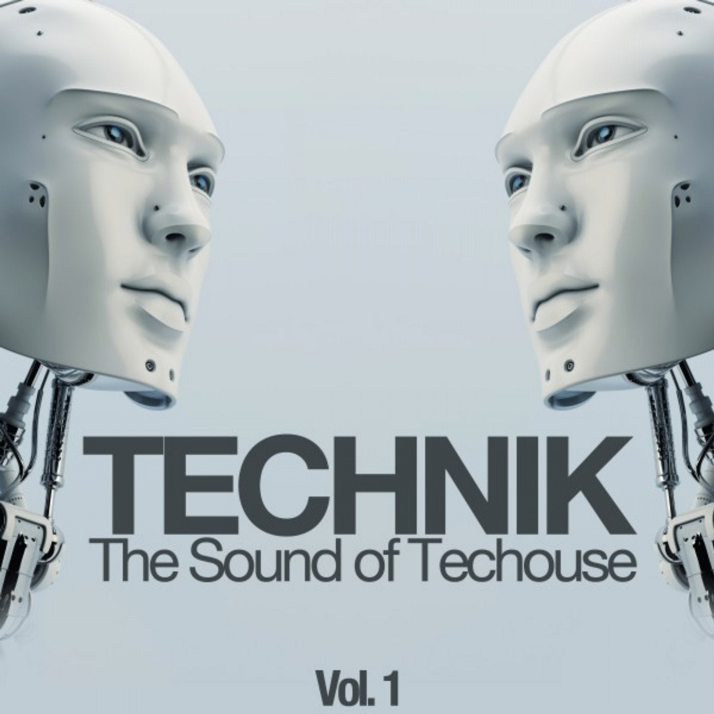 Technik, Vol. 1 (The Sound of Techouse)