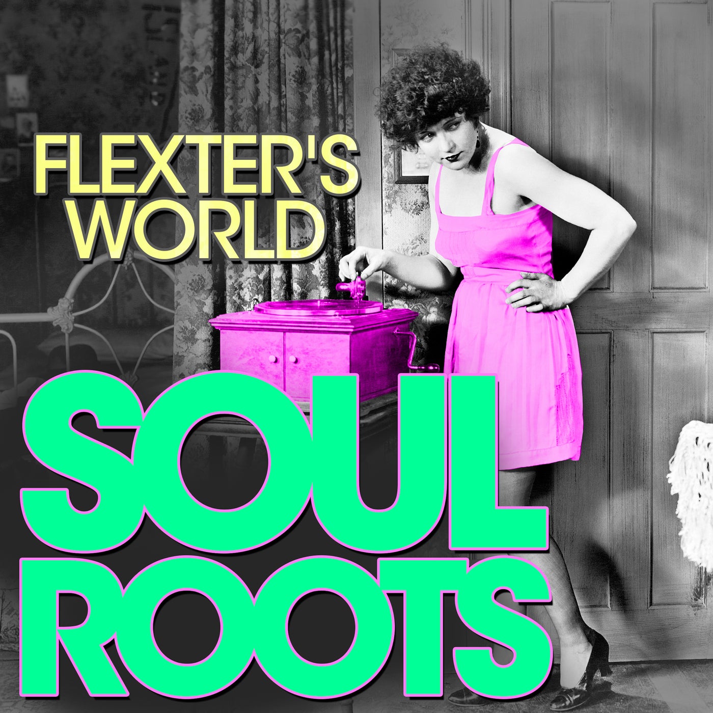 Flexter&apos;s World –  Soul Roots [ZYX]