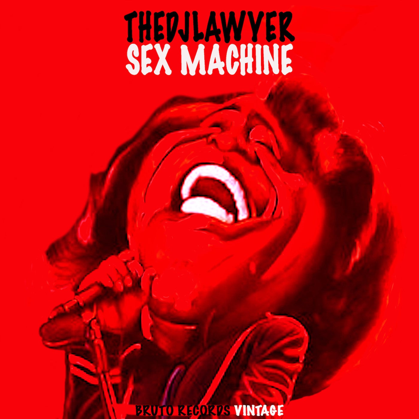 Sex Machine (Disco Mix)