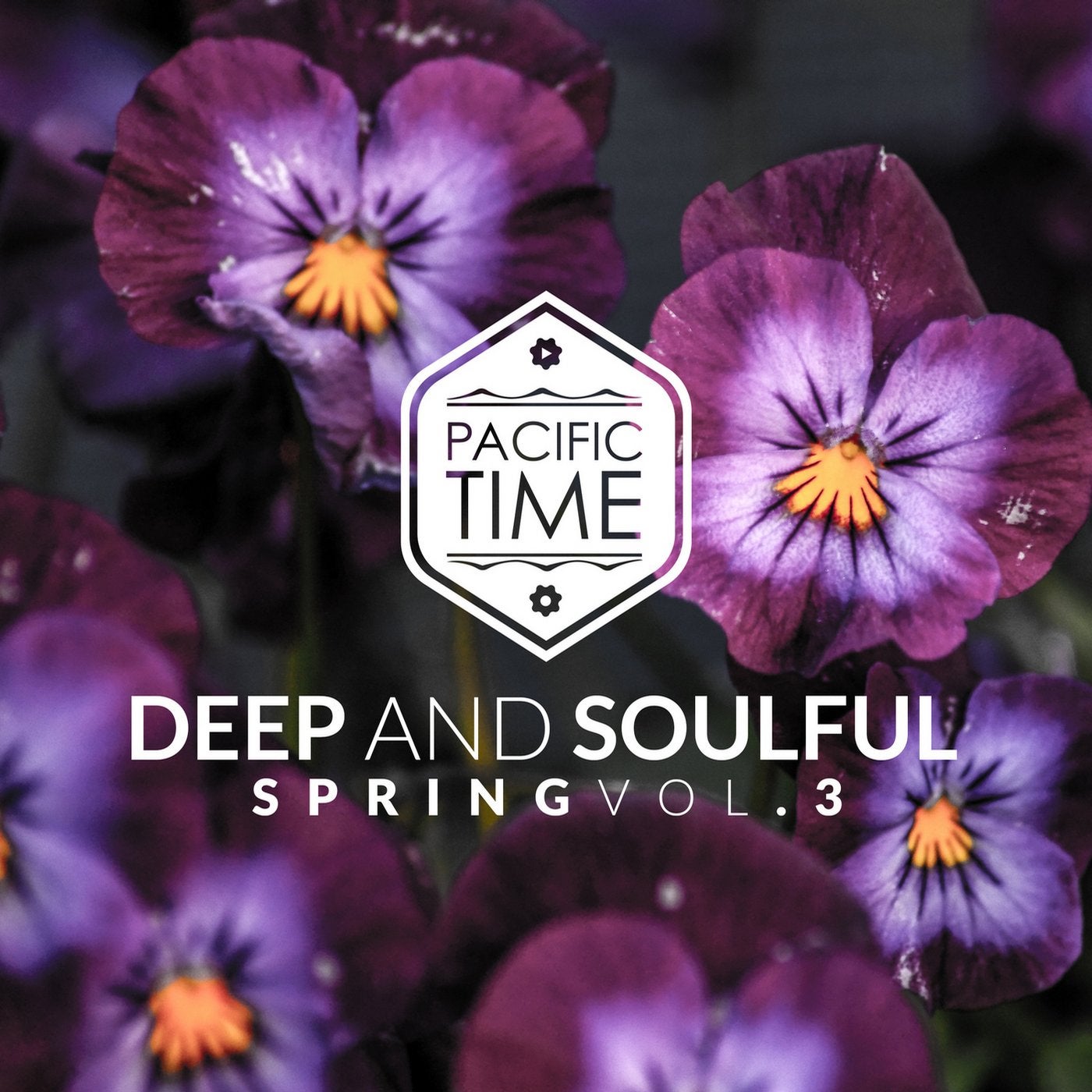 Deep and Soulful Spring Vol. 3