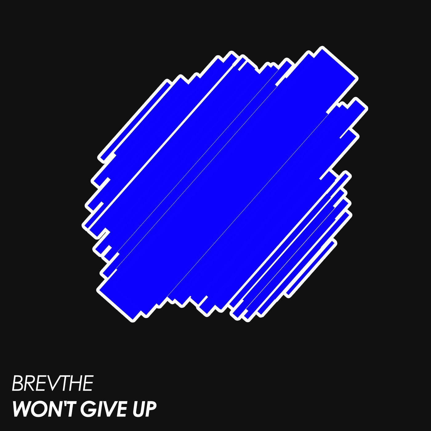 Won't Give Up