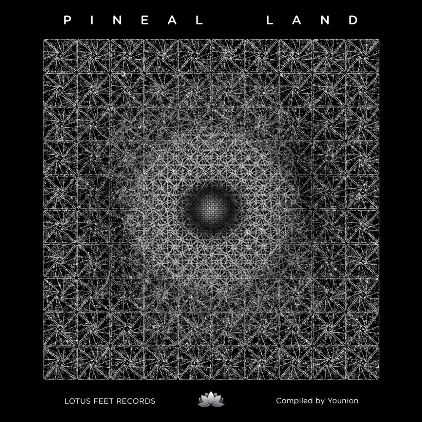 Pineal Land