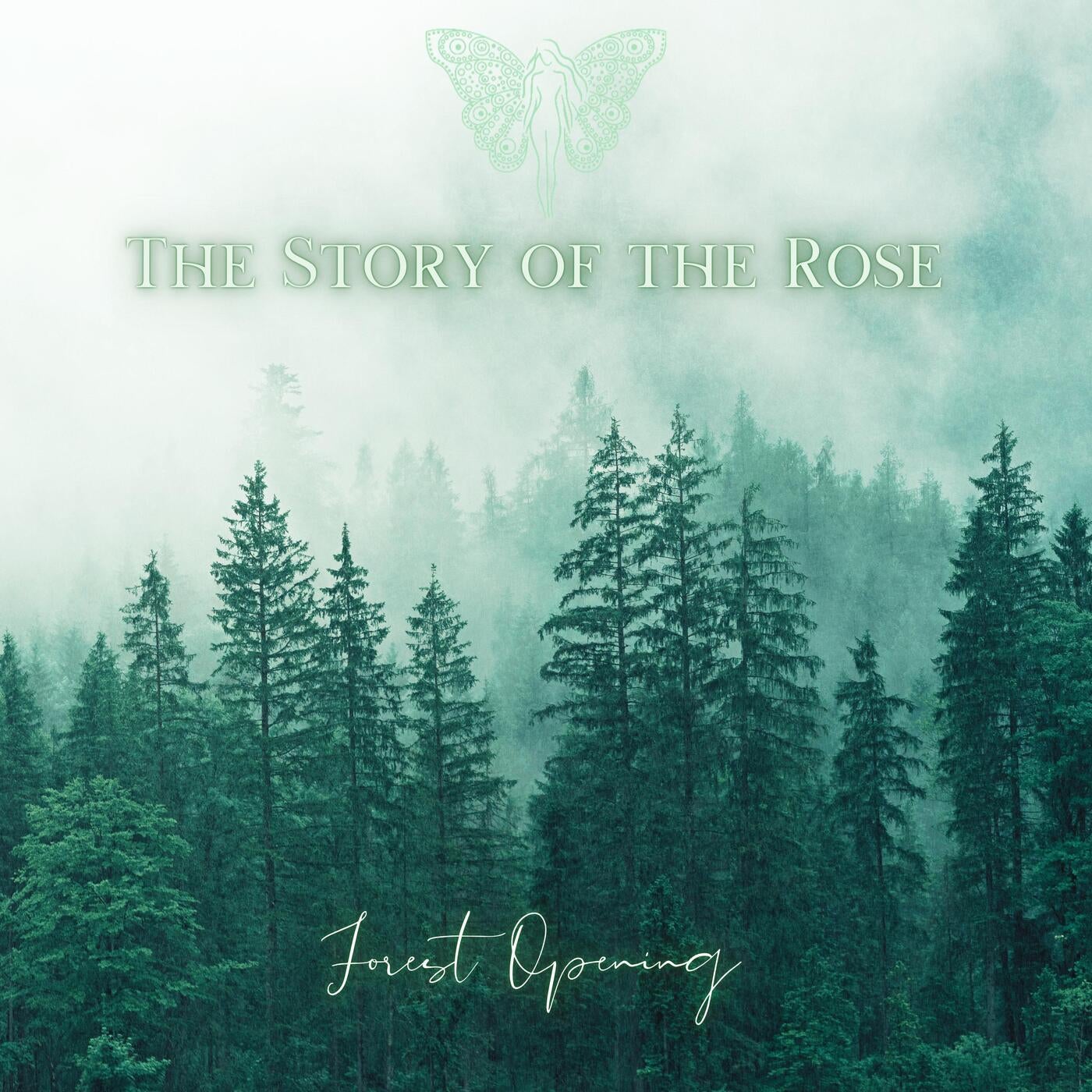 Forest Opening