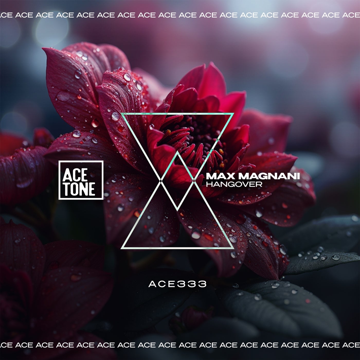 Cover art for Hangover