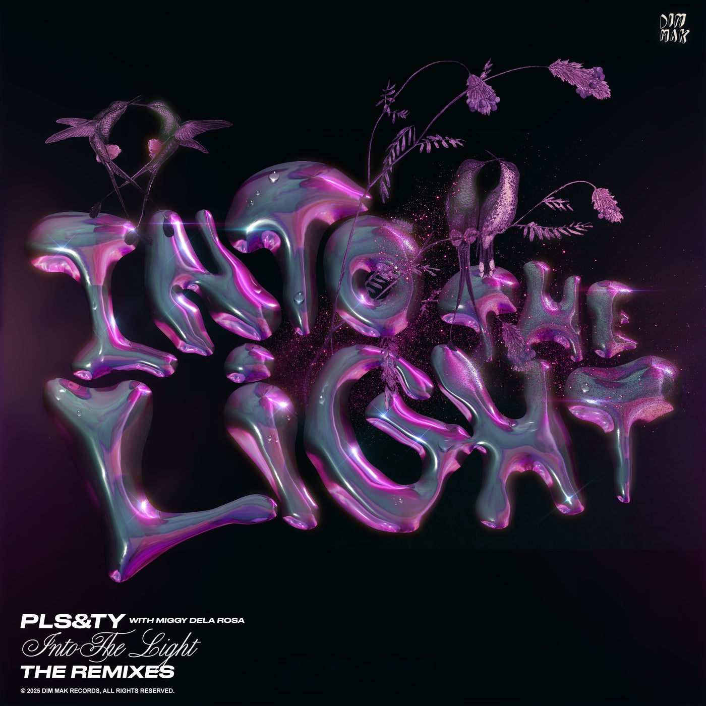 Into The Light - Extended Remixes