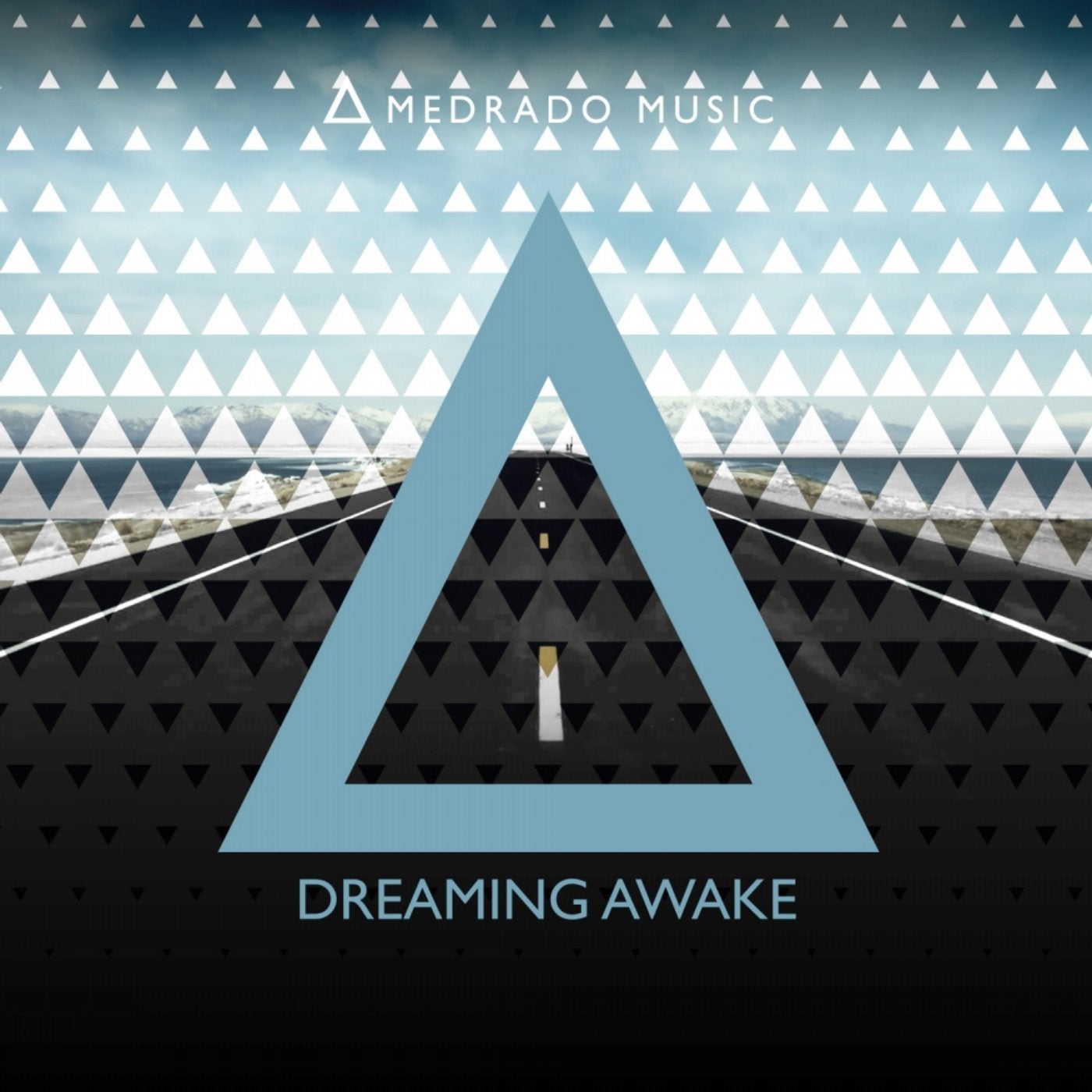 Dreaming Awake