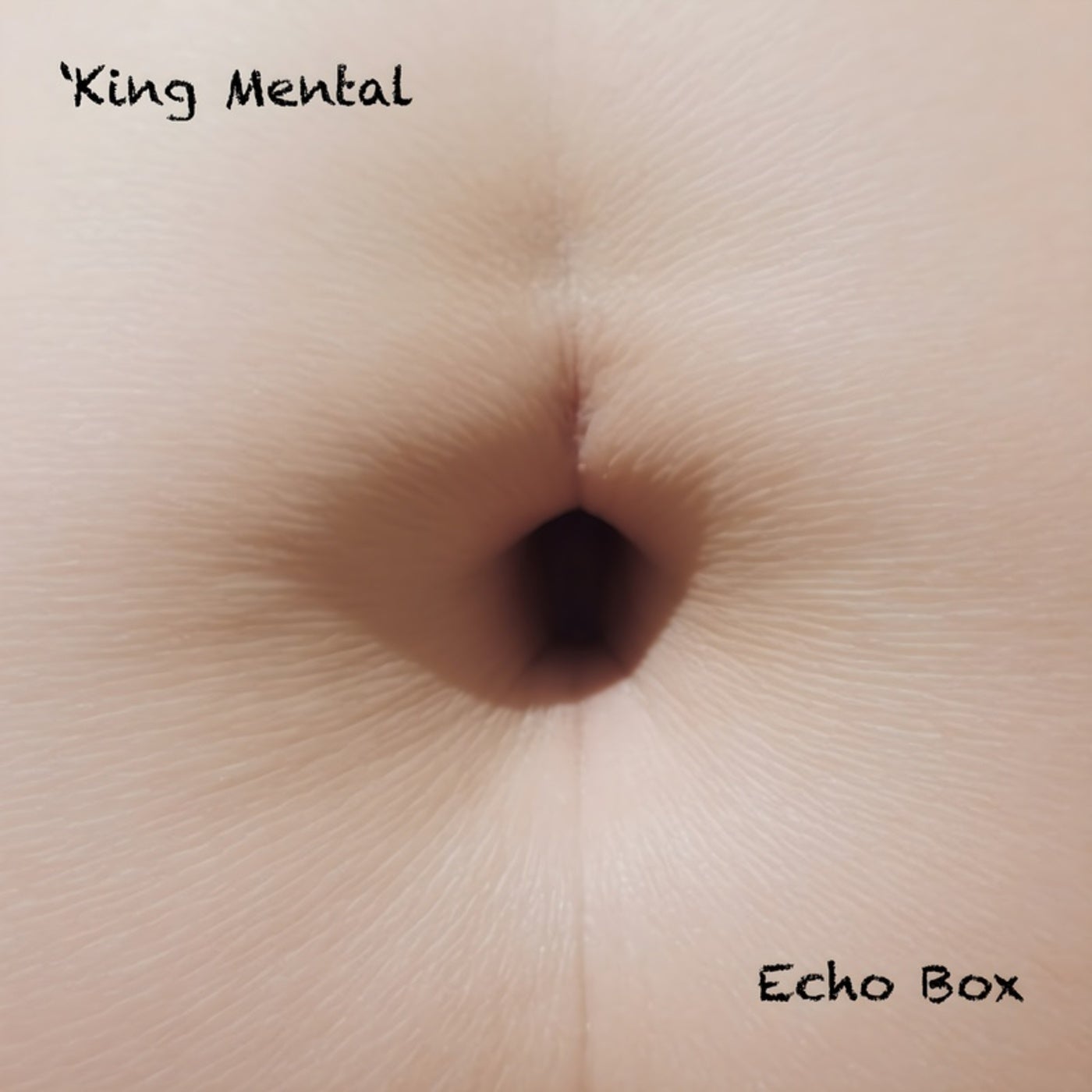 Echo Box