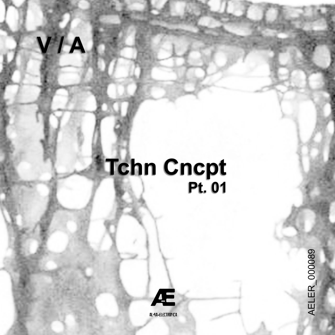 Tchn Cncpt, Pt. 01