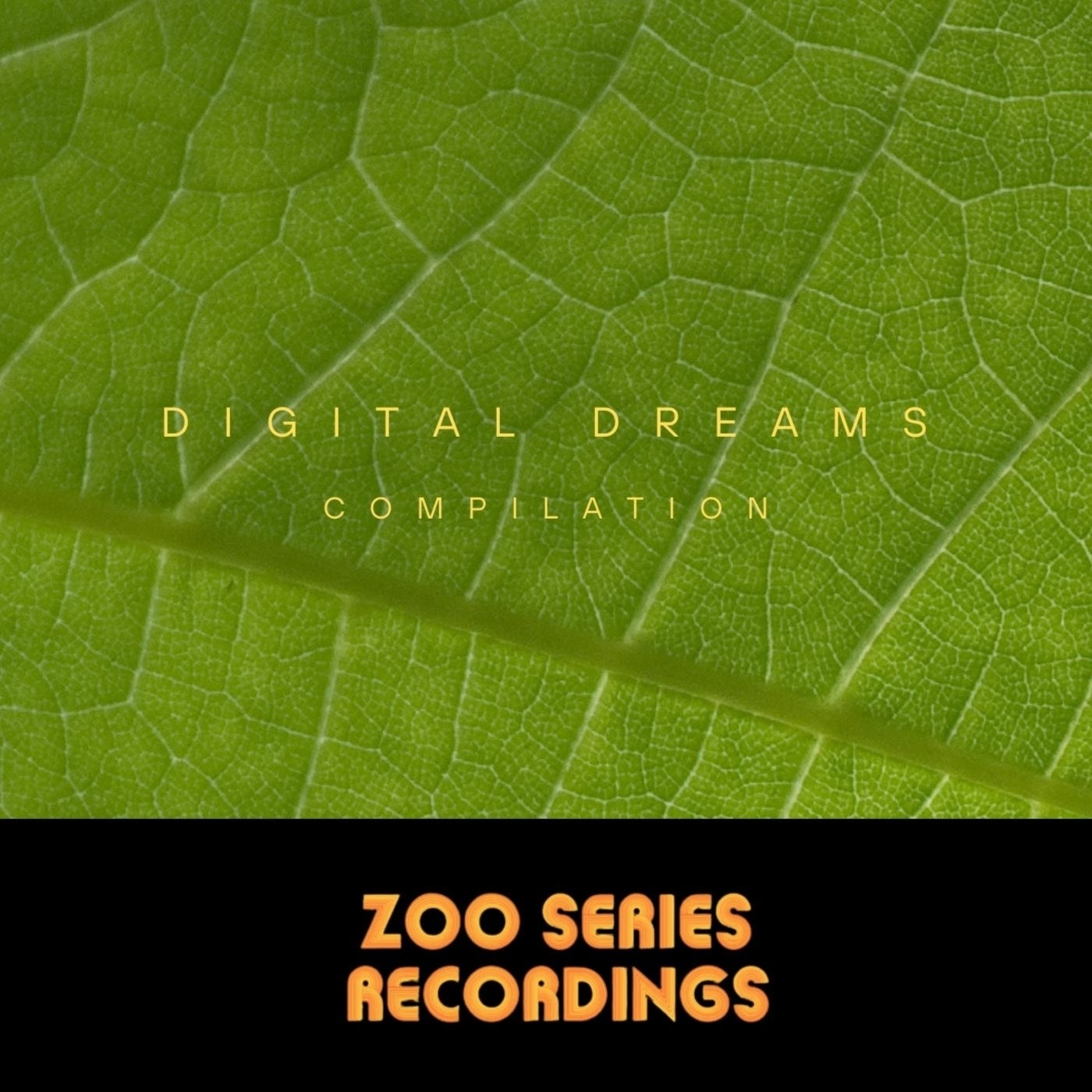 Digital Dreams