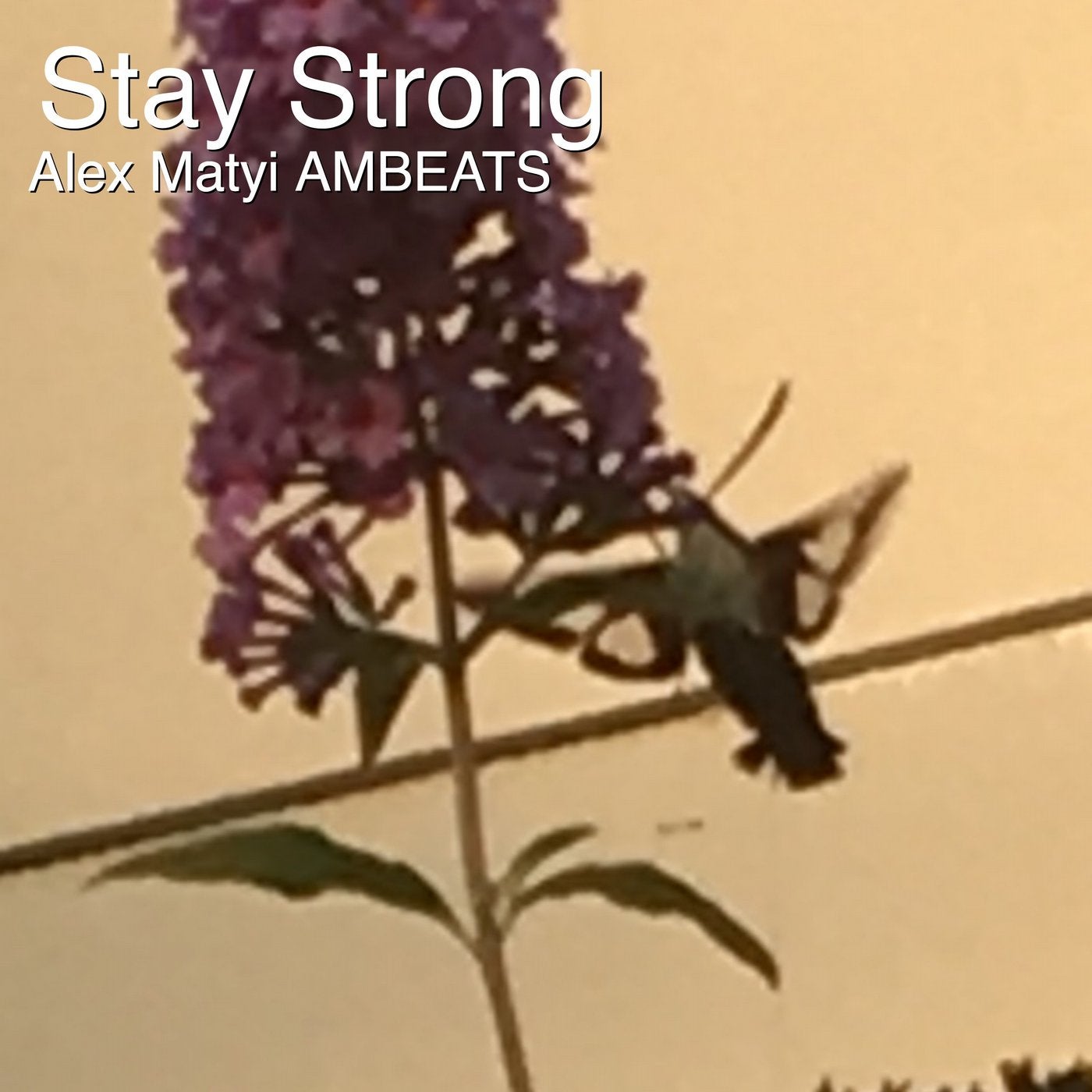 Stay Strong