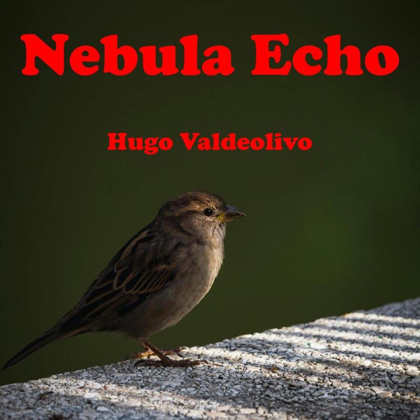 Nebula Echo
