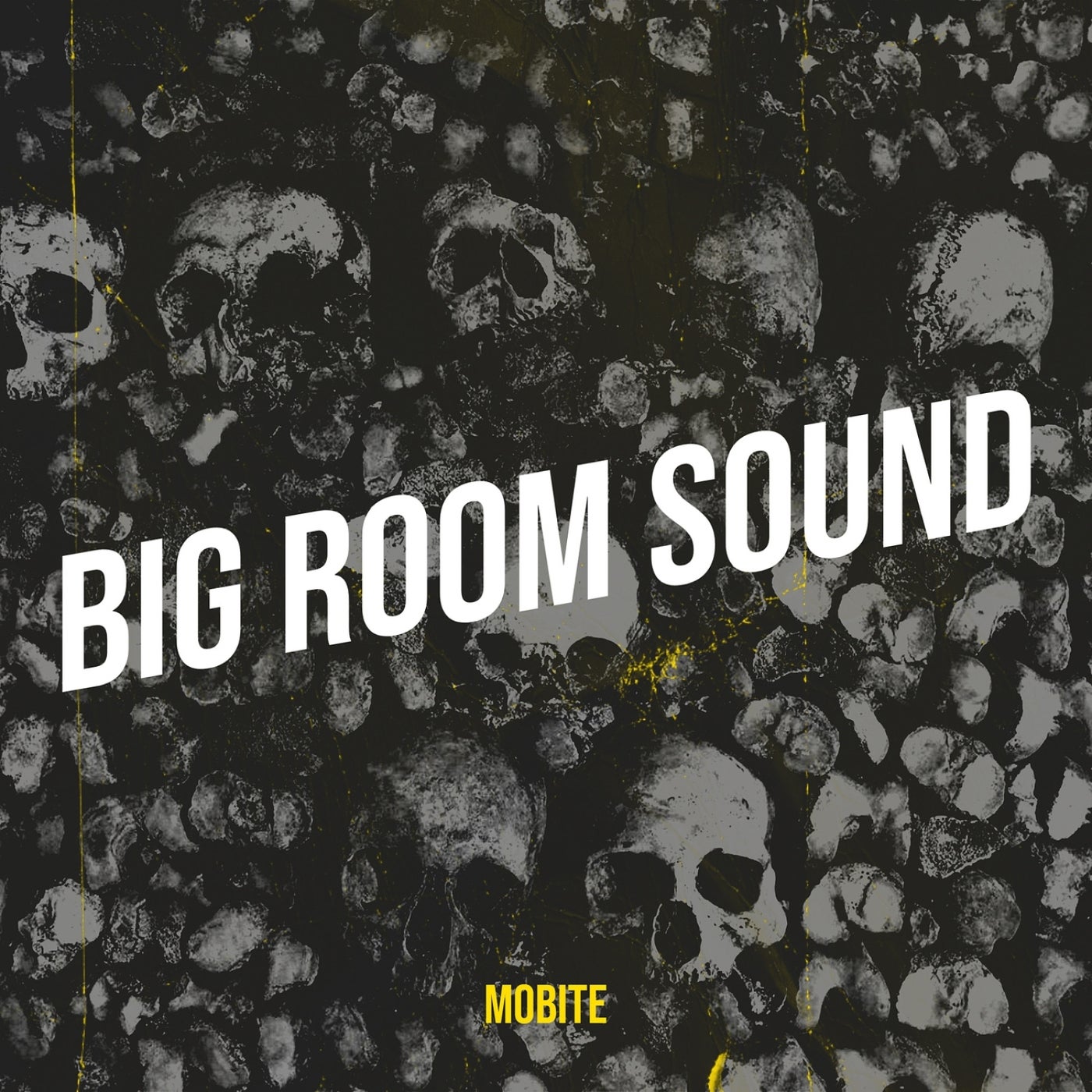 Big Room Sound