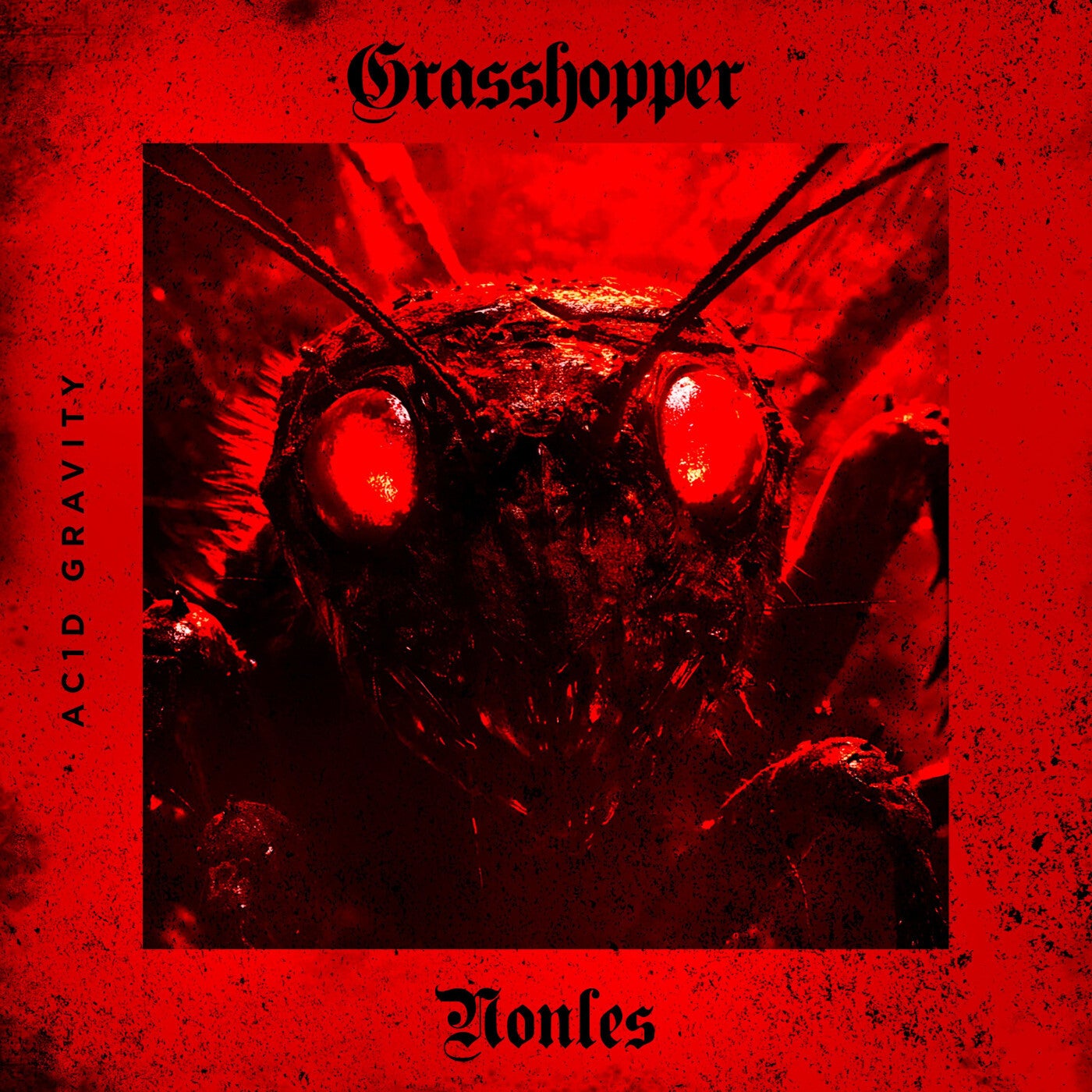 Grasshopper