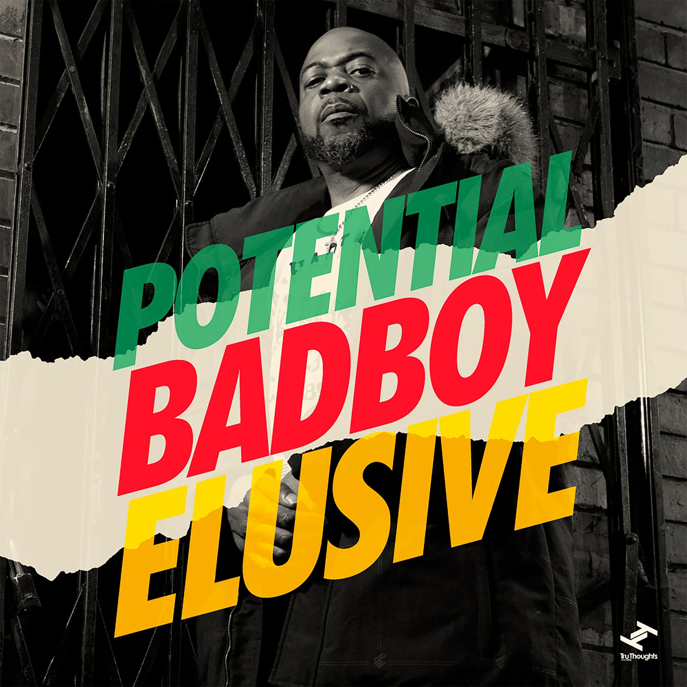 Cover art for Elusive