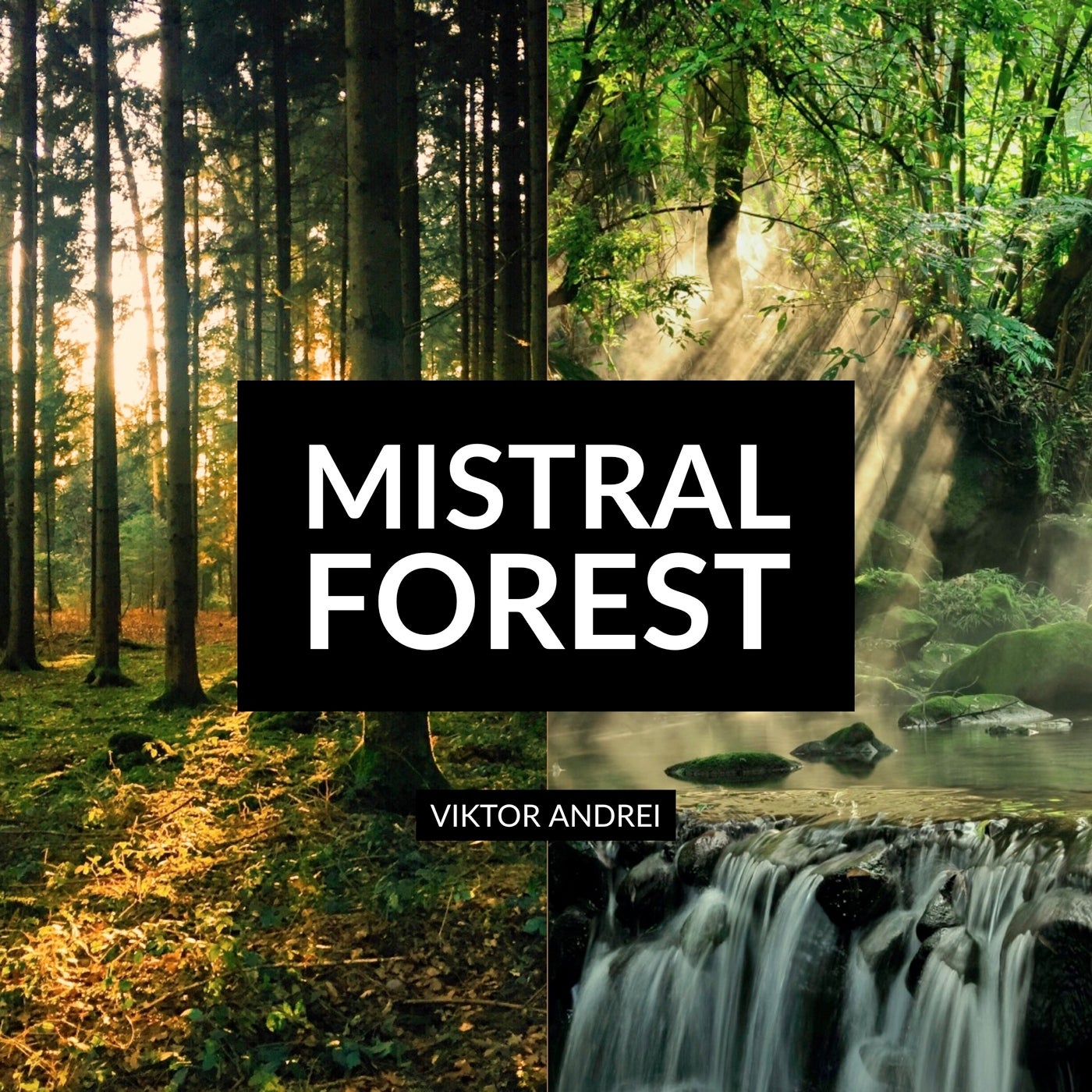 Mistral Forest