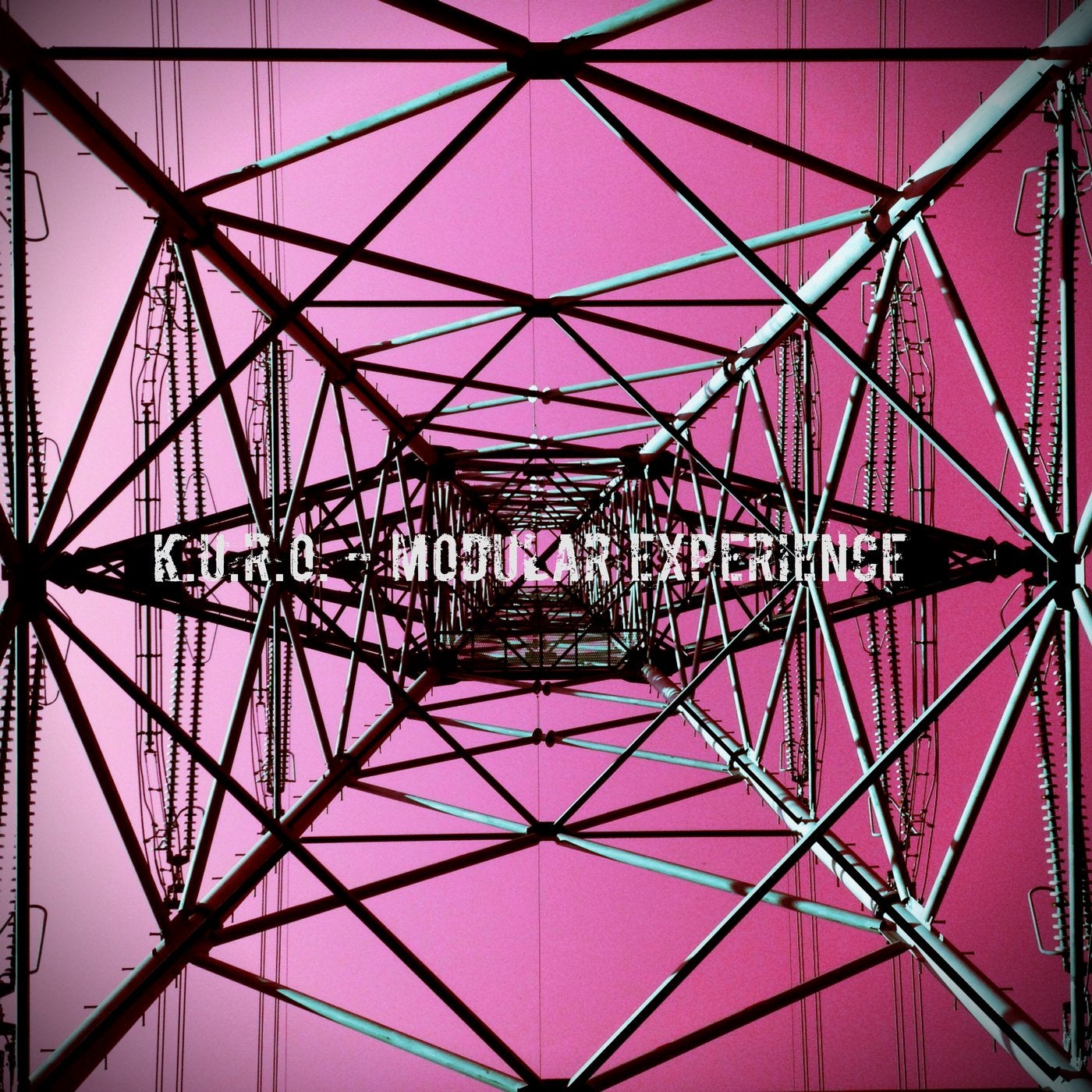 Modular Experience