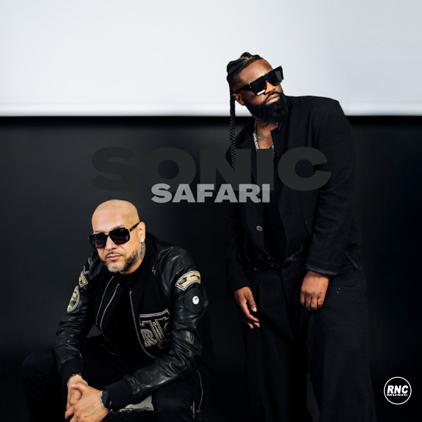 Sonic Safari