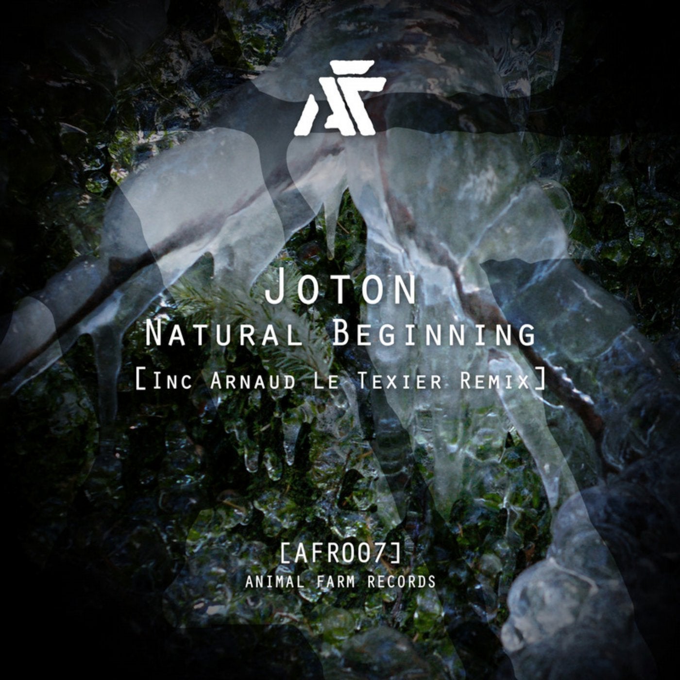 Natural Beginning (Inc Arnaud Le Texier Remix)