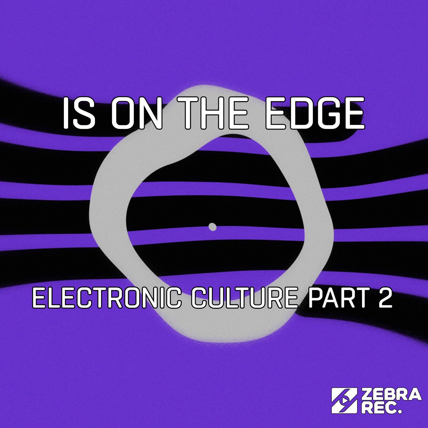 Electronic Culture, Part 2