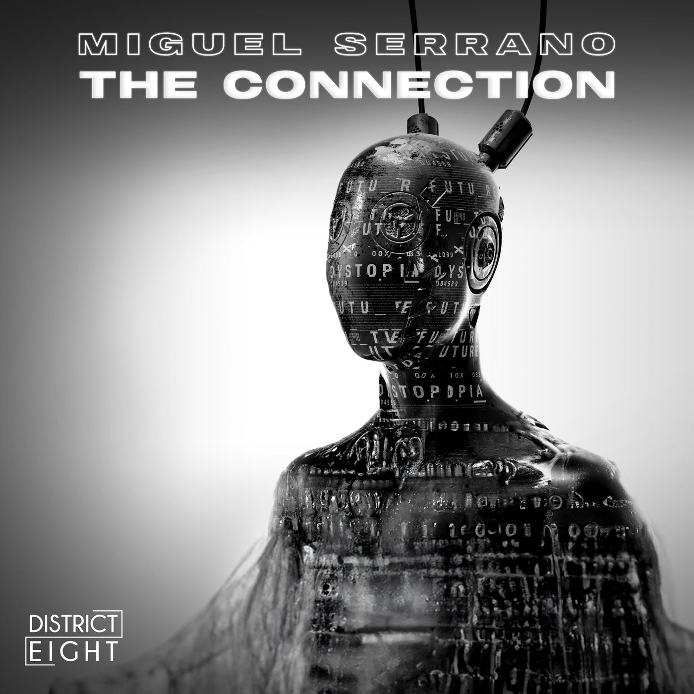 The Connection