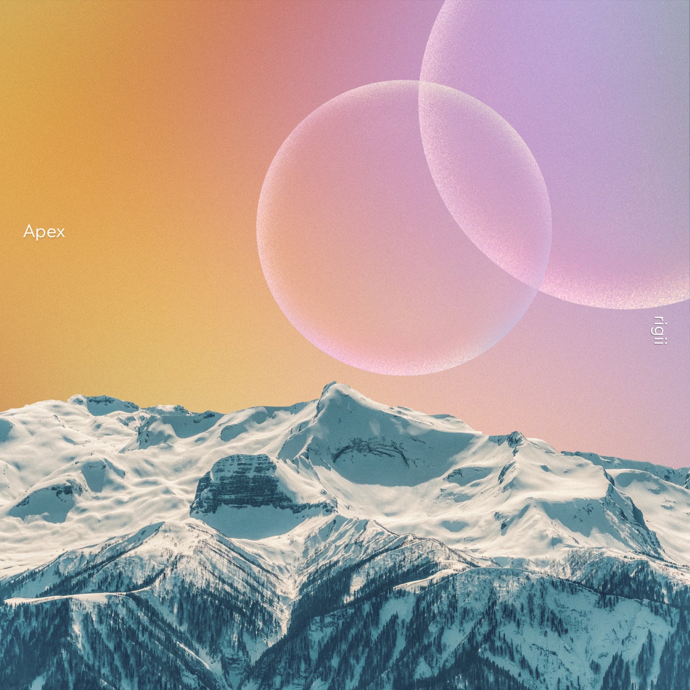 Apex